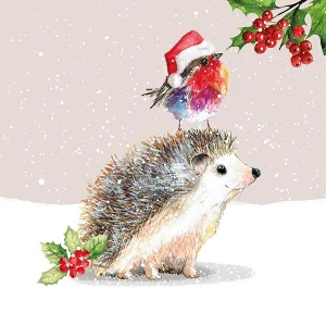 Hedgehog Fluffy Robin Christmas Cards
